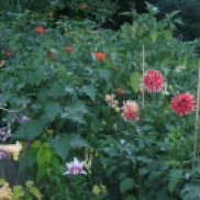 English Garden (Winnipeg) flower bed